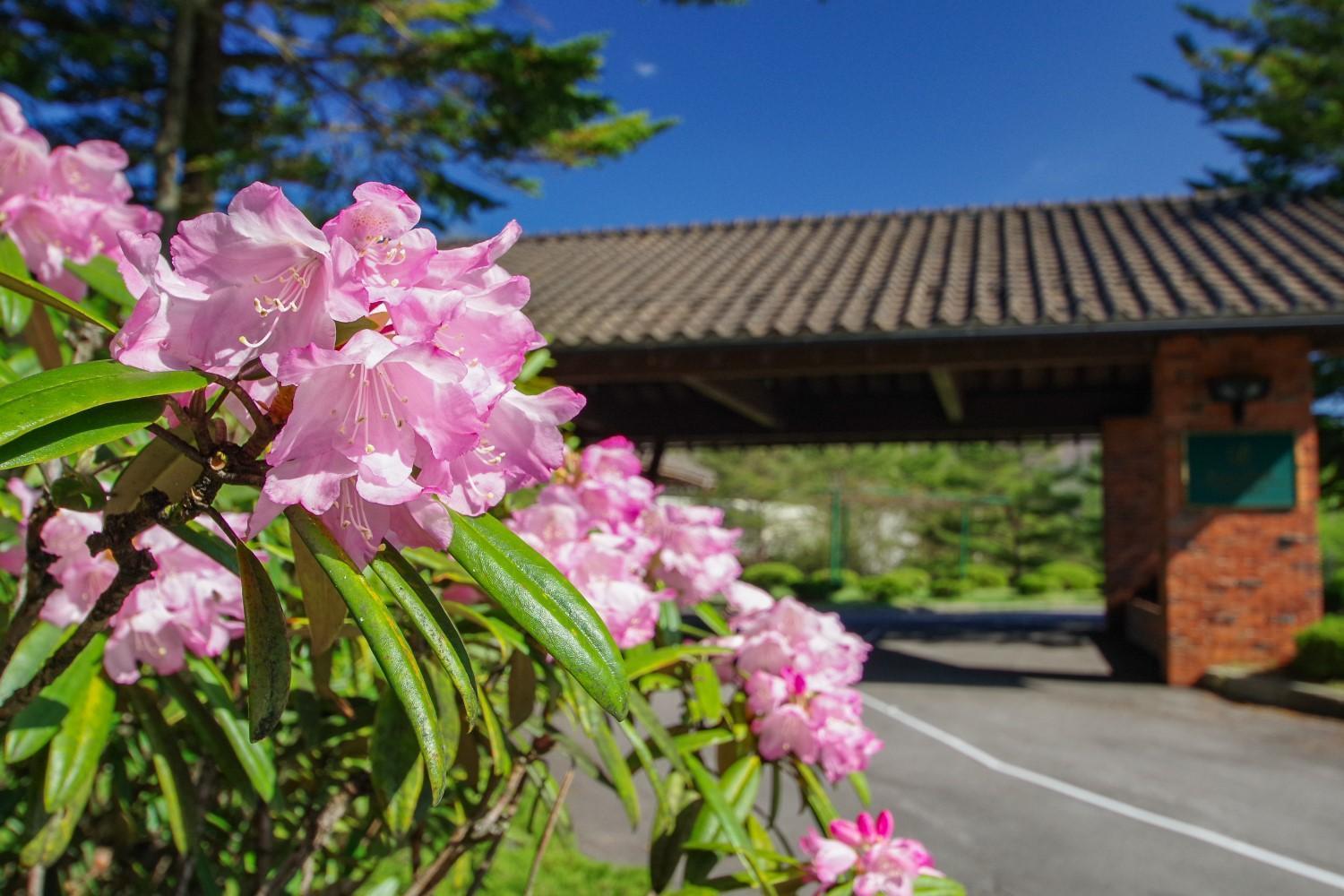 Tsumagoi Prince Hotel Εξωτερικό φωτογραφία